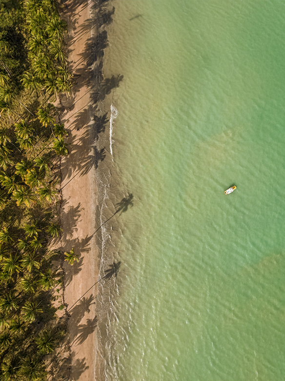 Vista aérea de faixa de areia com coqueiros, sombras projetadas na praia e mar calmo de tom esverdeado, com uma pequena embarcação próxima à costa.
